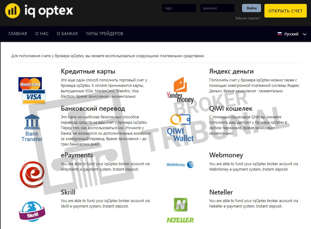 IqOptex